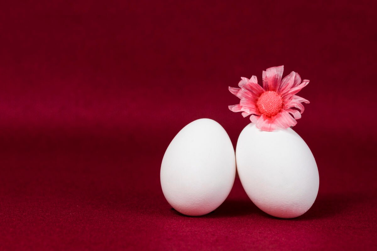 Can We Eat Eggs in PCOS?