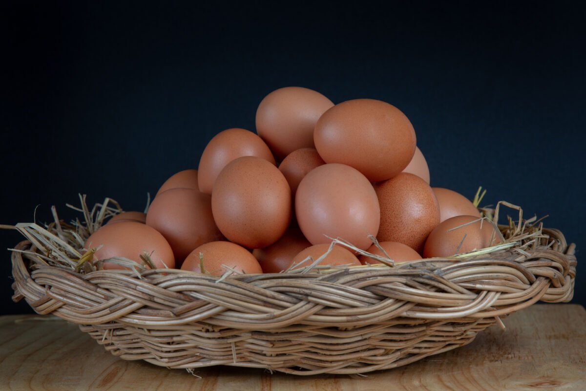Cage Eggs Guide: Production Standards, Safety & Nutrition