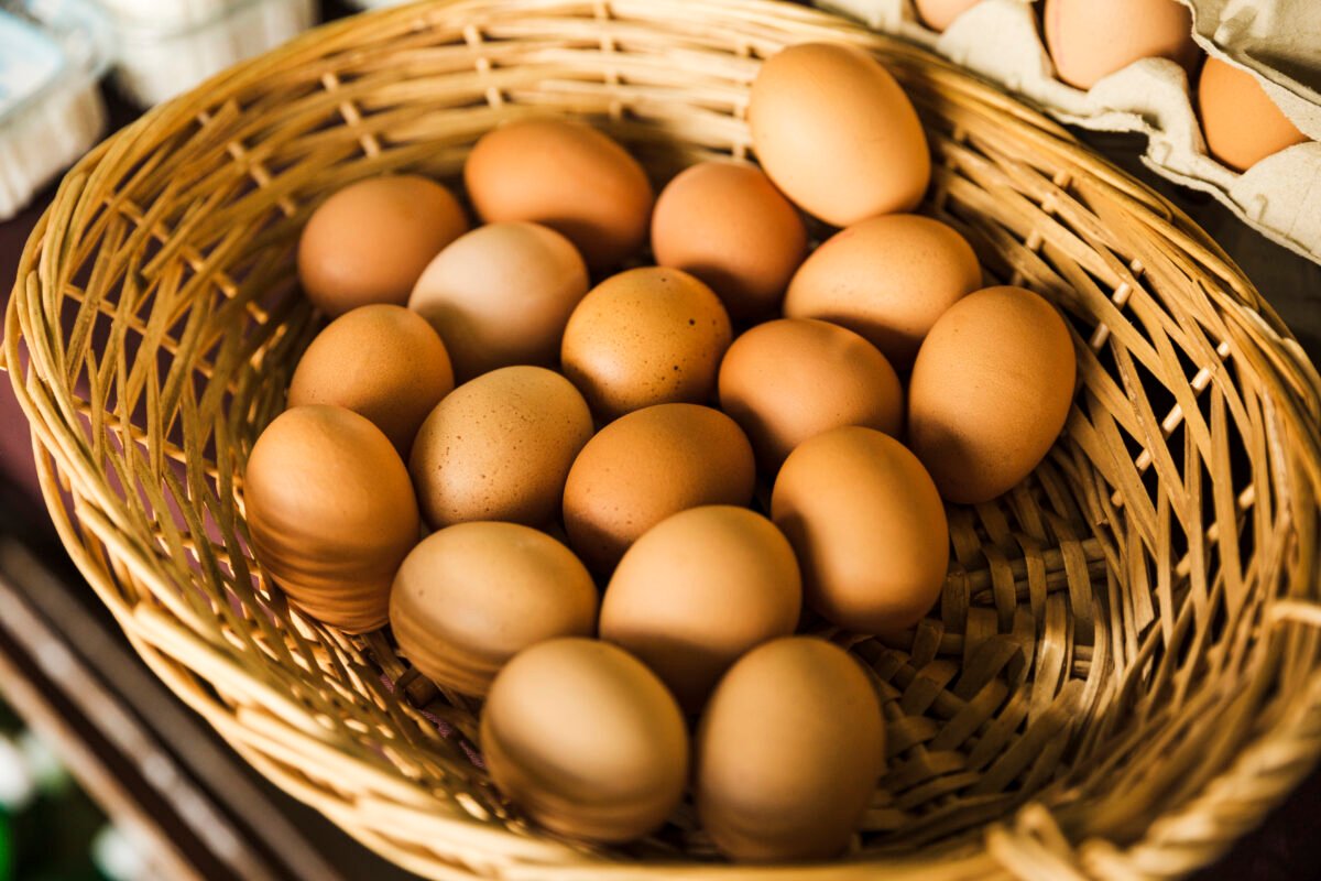 How Are Eggs Made? Complete Guide to Egg Production.