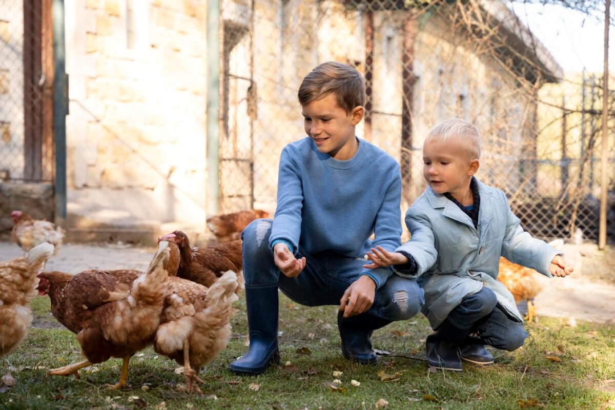How Many Eggs Should Children Have A Day